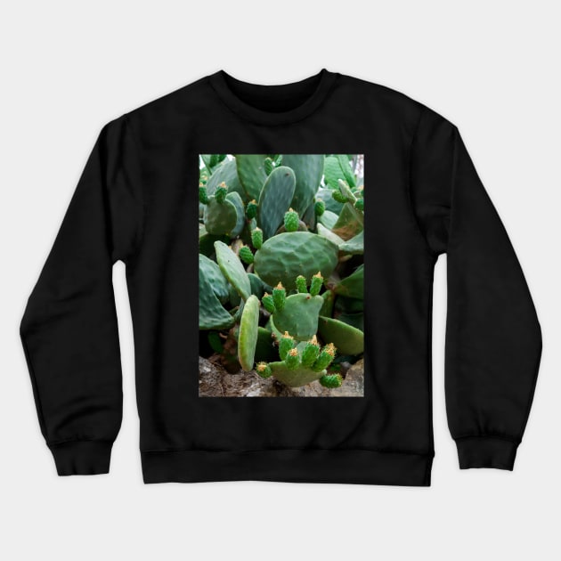 Opuntia, commonly called prickly pear Crewneck Sweatshirt by lena-maximova